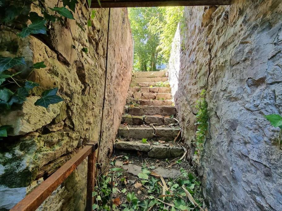Elegance Provinoise Aux Pieds Des Remparts Classe Provins Dış mekan fotoğraf